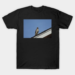 Hawk T-Shirt